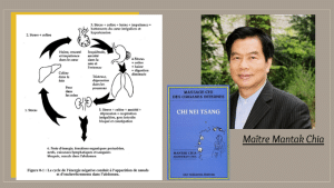 Maître Mantak Chia, auteur du livre Chi Nei Tsang